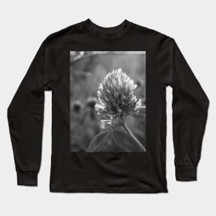 Petals in Sunlight Capture Red Clover's Elegance V4 Long Sleeve T-Shirt